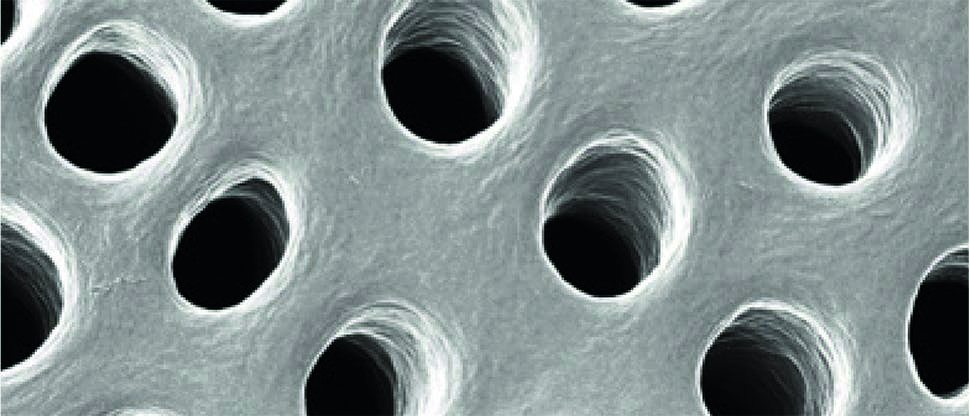A unique and clinically proven ingredient: the story of NovaMin